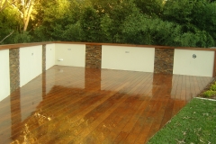 Large Custom Deck with Privacy screen